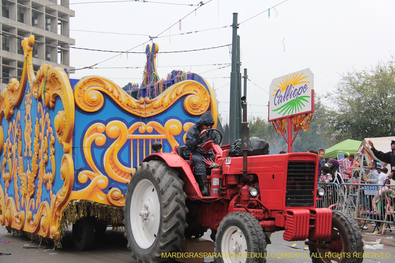 Rex-Organization-2013-1439