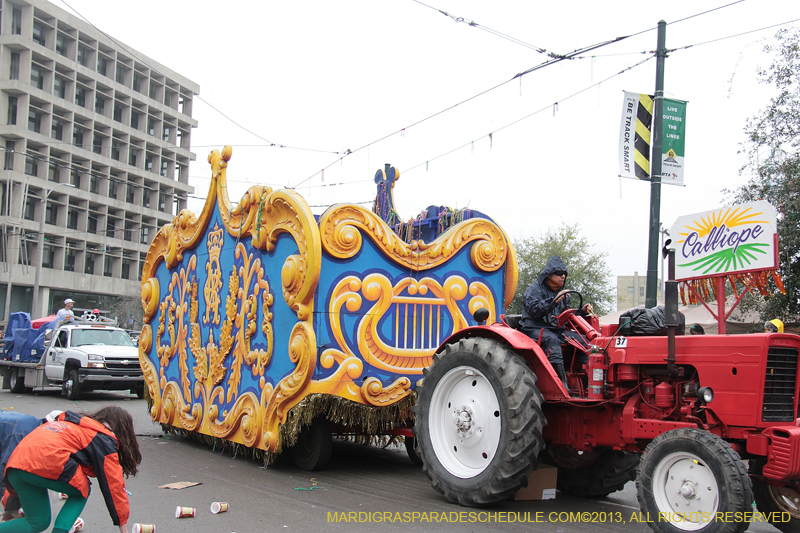 Rex-Organization-2013-1441