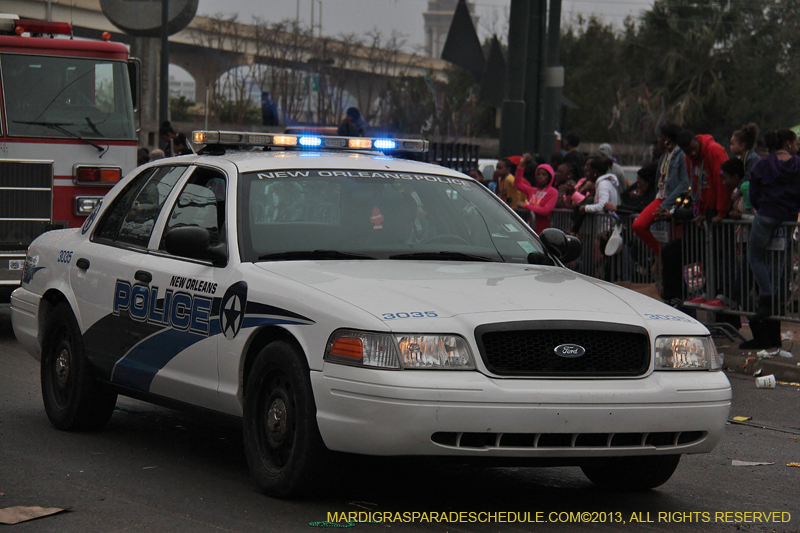 Rex-Organization-2013-1444