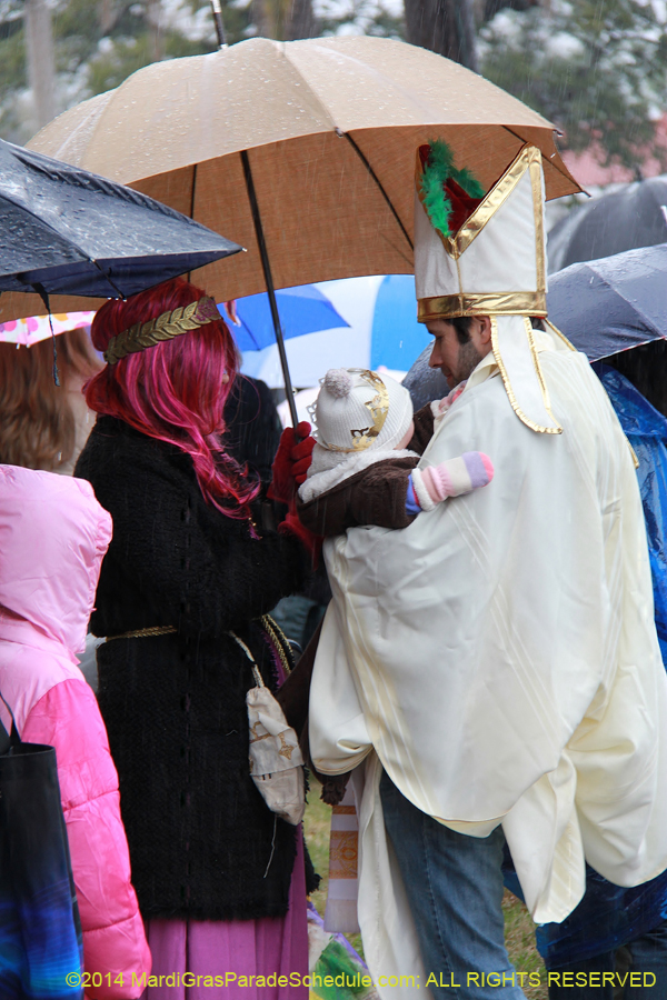 2014-Rex-King-of-Carnival-11035