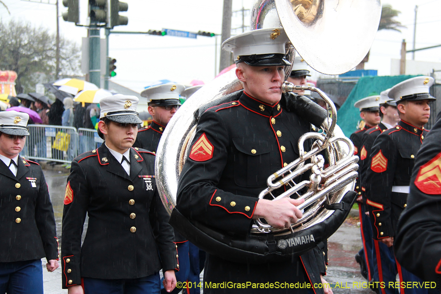 2014-Rex-King-of-Carnival-11043