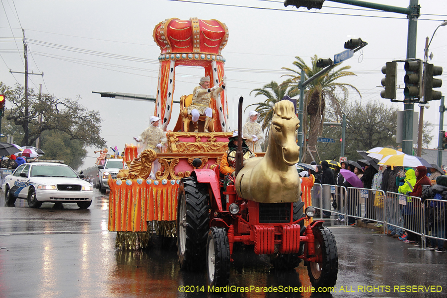 2014-Rex-King-of-Carnival-11047