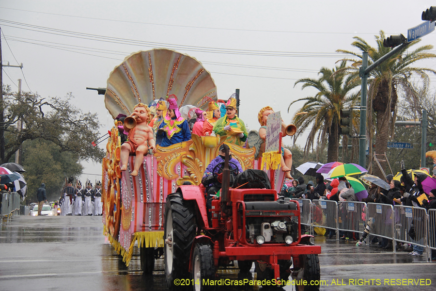 2014-Rex-King-of-Carnival-11051