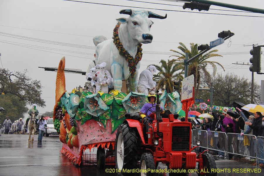 2014-Rex-King-of-Carnival-11071