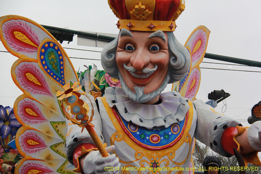 2014-Rex-King-of-Carnival-11089