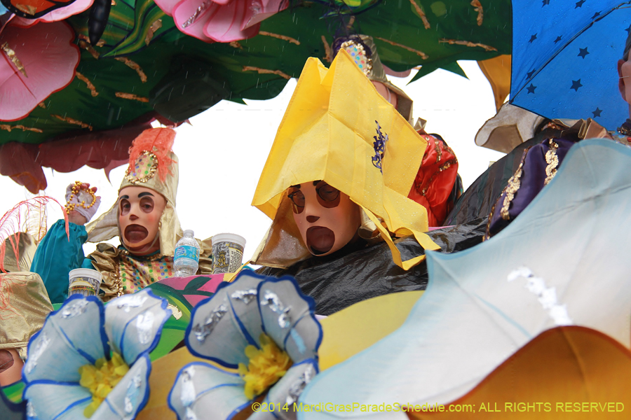 2014-Rex-King-of-Carnival-11091