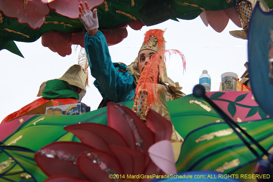 2014-Rex-King-of-Carnival-11092