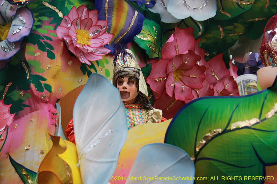 2014-Rex-King-of-Carnival-11094