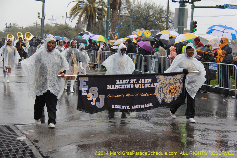 2014-Rex-King-of-Carnival-11102