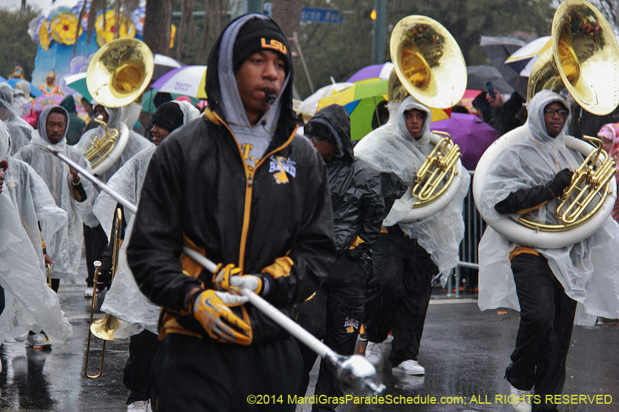 2014-Rex-King-of-Carnival-11104