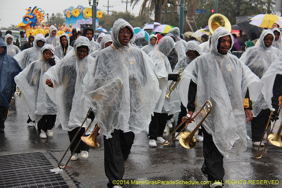 2014-Rex-King-of-Carnival-11105