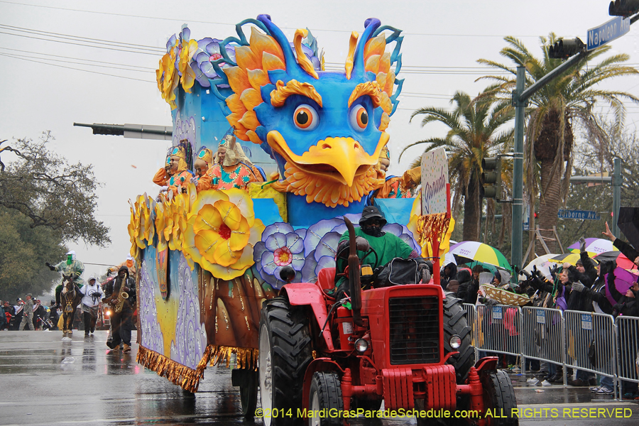 2014-Rex-King-of-Carnival-11107