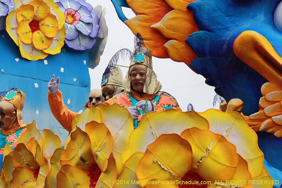 2014-Rex-King-of-Carnival-11109