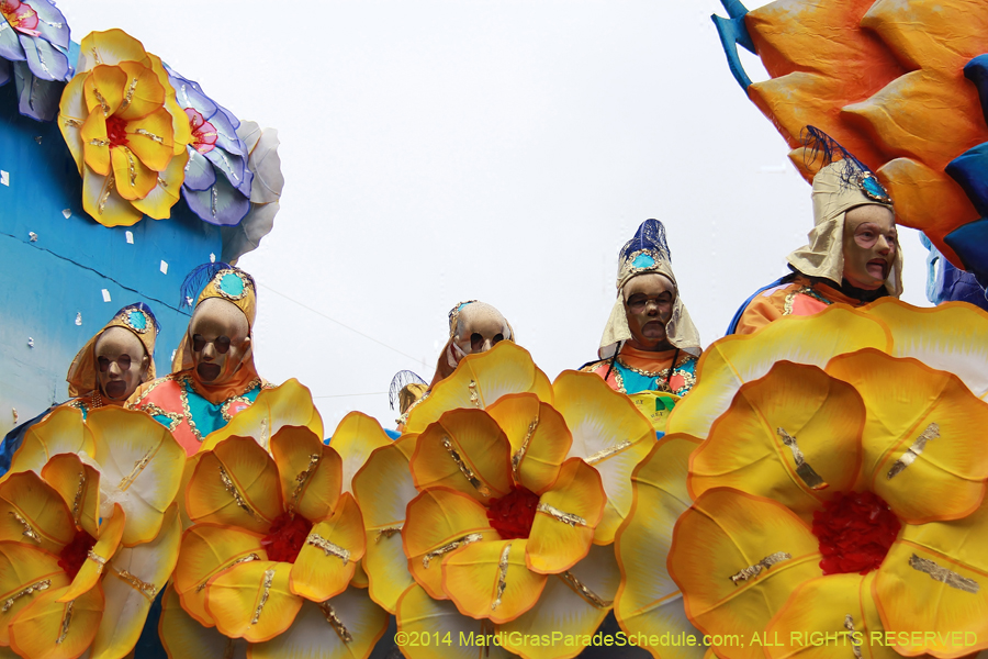 2014-Rex-King-of-Carnival-11110