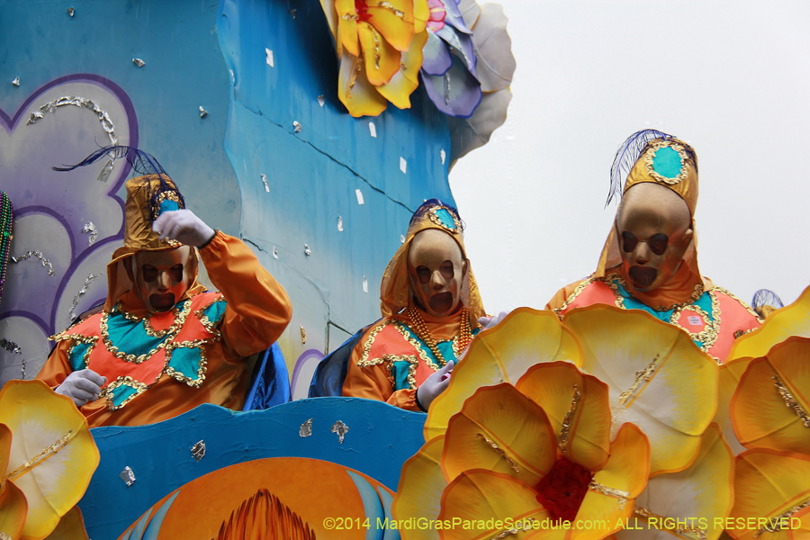 2014-Rex-King-of-Carnival-11111