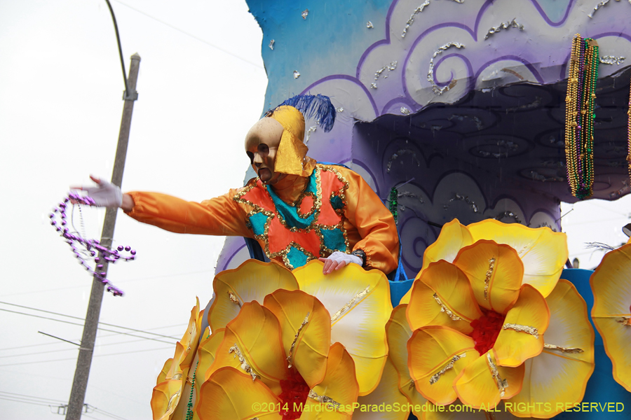 2014-Rex-King-of-Carnival-11112