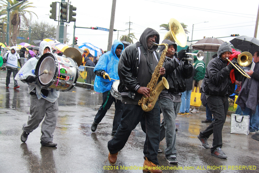 2014-Rex-King-of-Carnival-11113