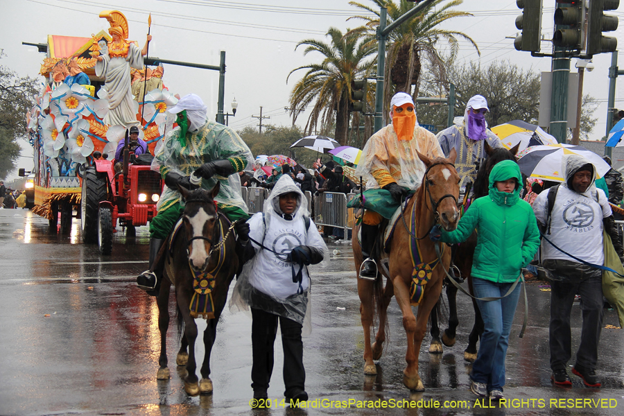 2014-Rex-King-of-Carnival-11114