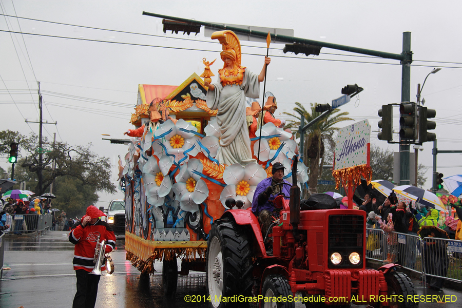 2014-Rex-King-of-Carnival-11115
