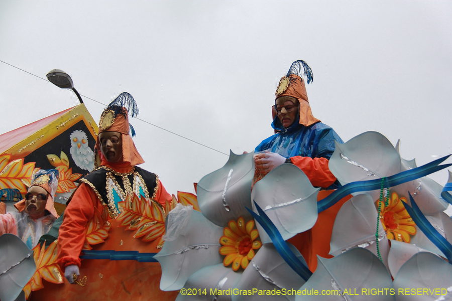 2014-Rex-King-of-Carnival-11116