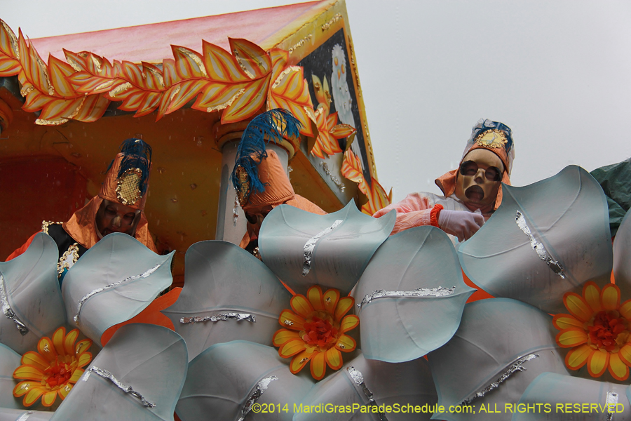 2014-Rex-King-of-Carnival-11118