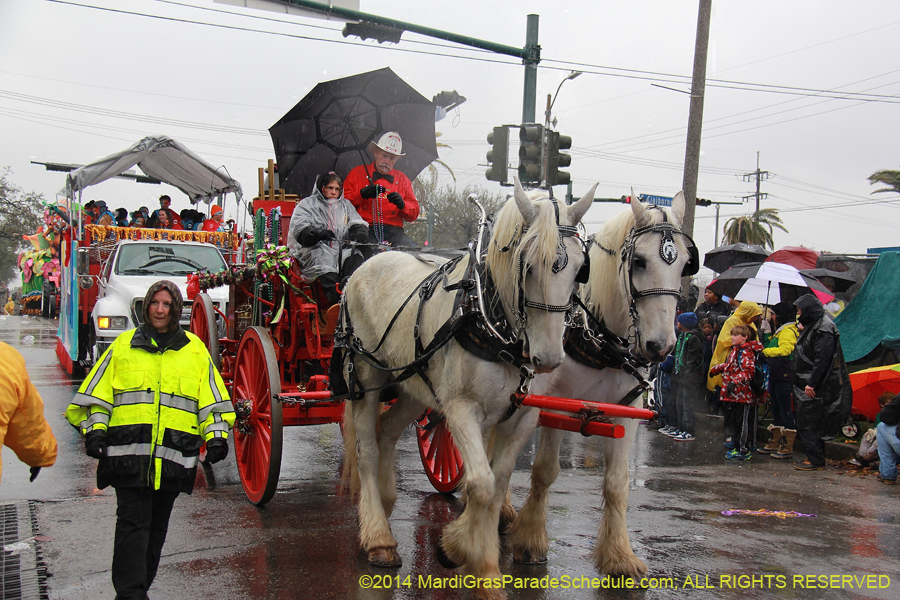 2014-Rex-King-of-Carnival-11120