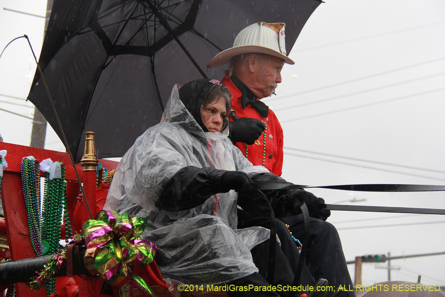 2014-Rex-King-of-Carnival-11121