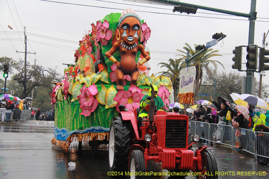 2014-Rex-King-of-Carnival-11126