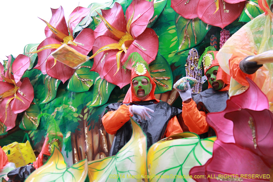 2014-Rex-King-of-Carnival-11128