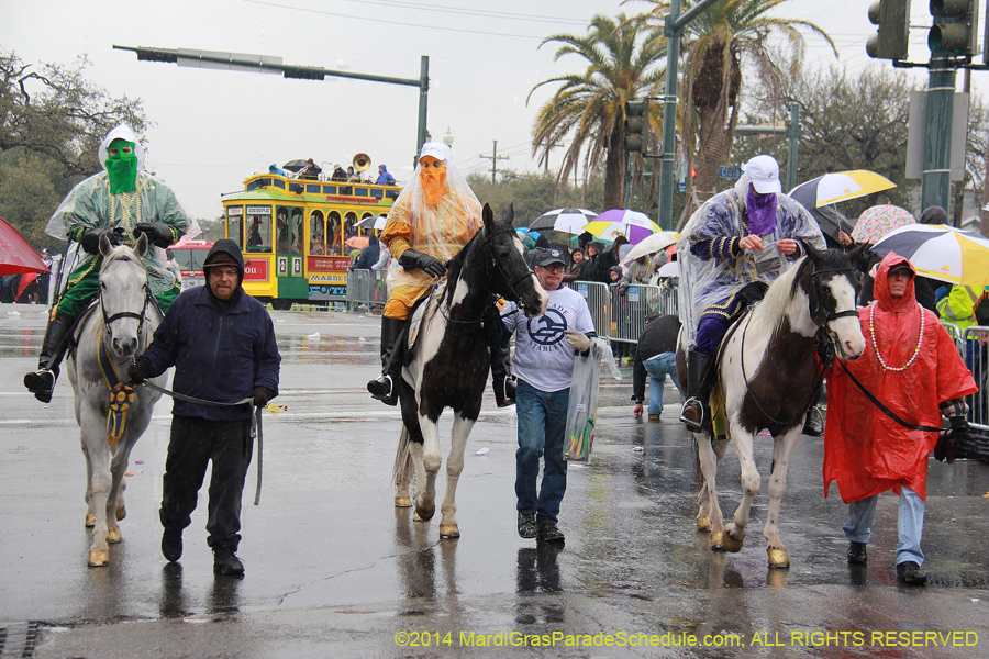 2014-Rex-King-of-Carnival-11134