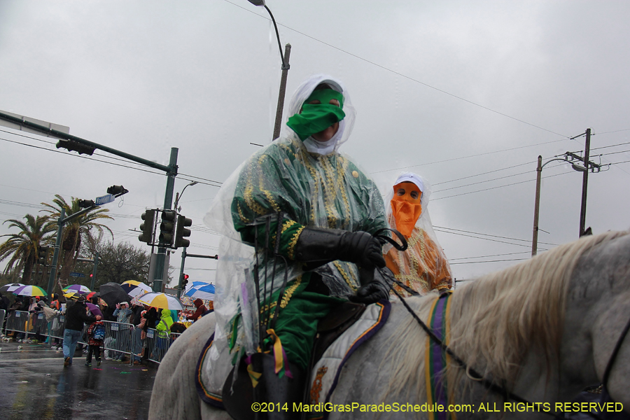 2014-Rex-King-of-Carnival-11135