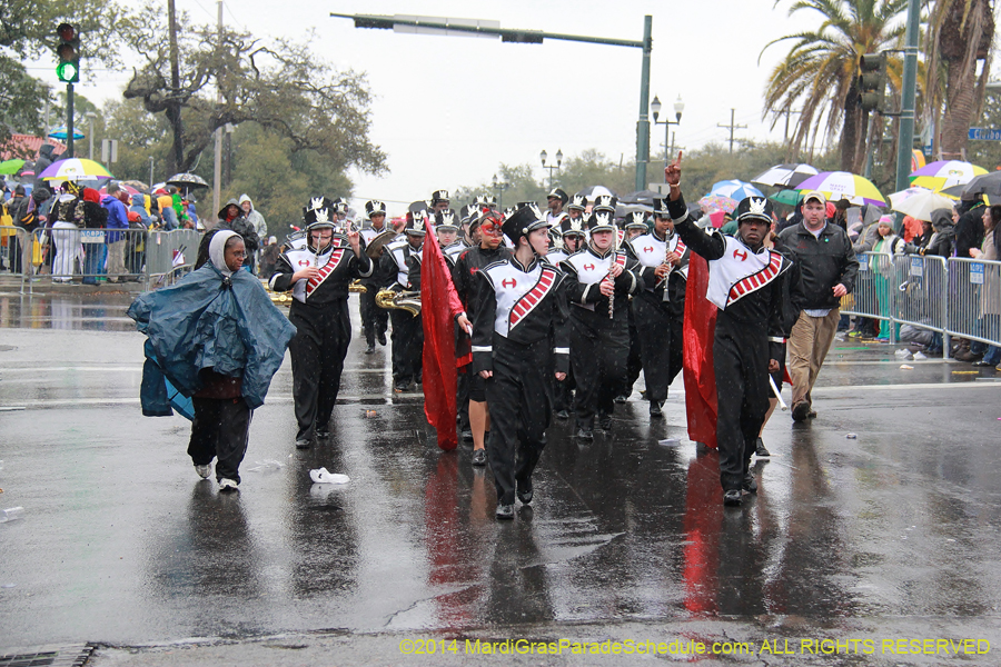 2014-Rex-King-of-Carnival-11146