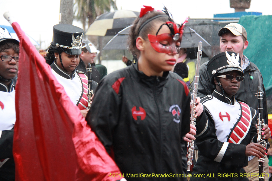 2014-Rex-King-of-Carnival-11147