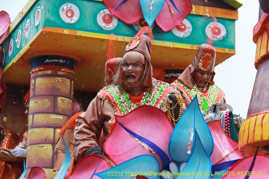 2014-Rex-King-of-Carnival-11216