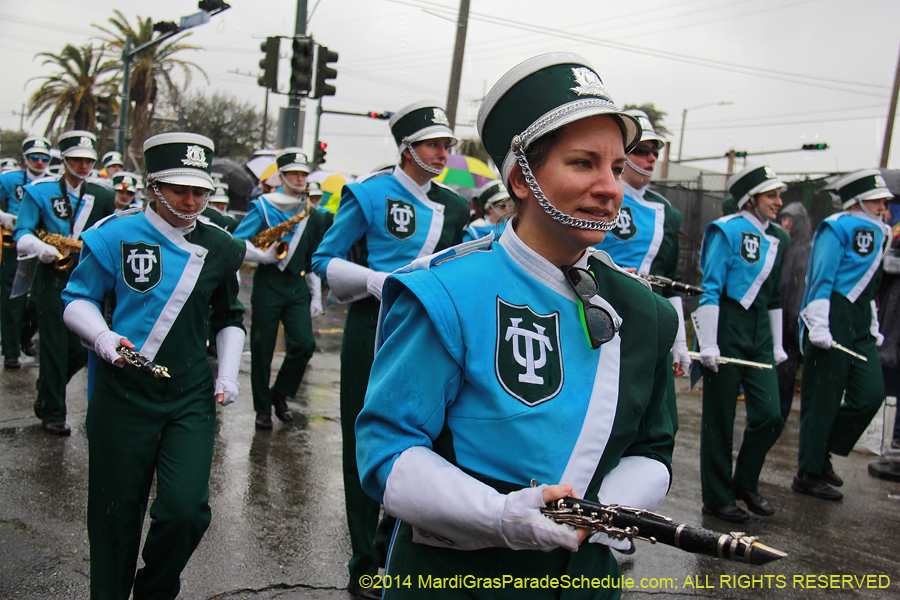 2014-Rex-King-of-Carnival-11230