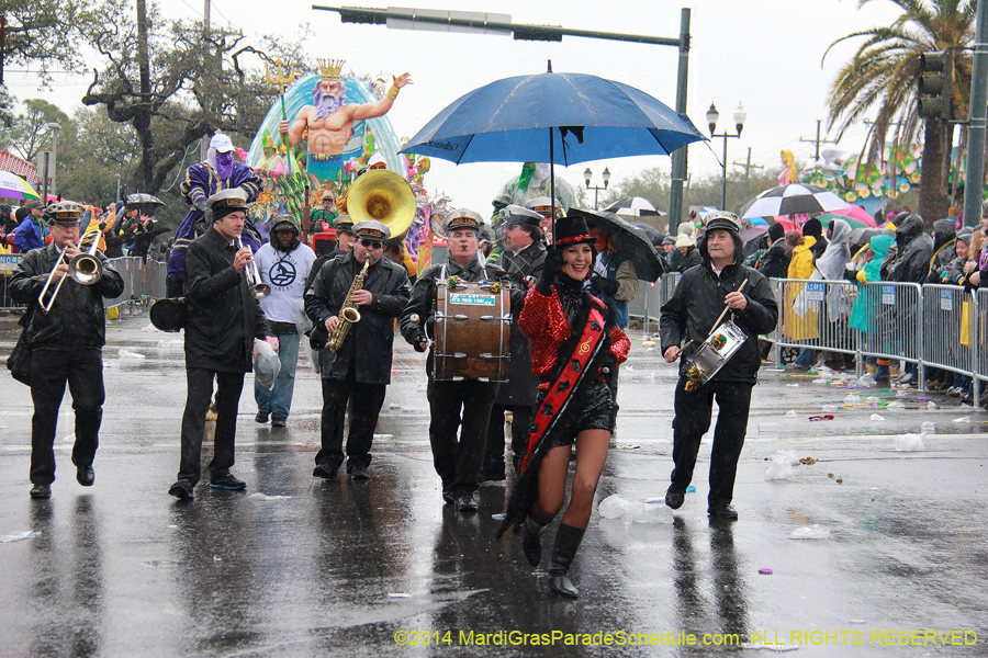 2014-Rex-King-of-Carnival-11298