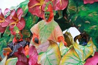 2014-Rex-King-of-Carnival-11127