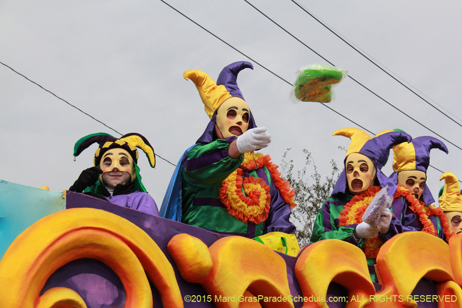 Rex-Organization-2015-19323