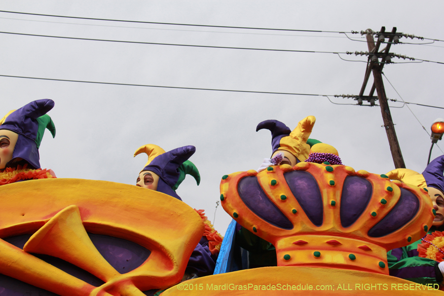 Rex-Organization-2015-19325