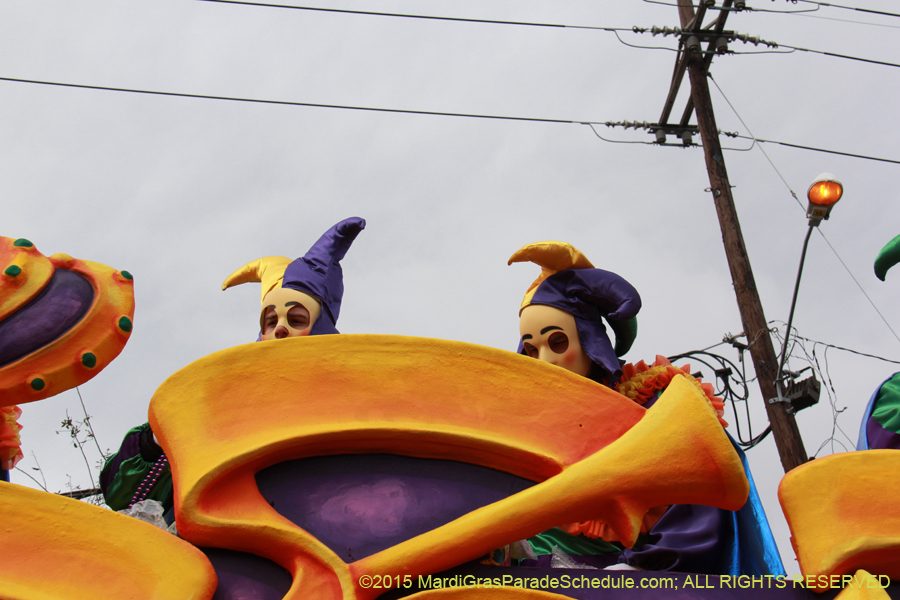 Rex-Organization-2015-19326