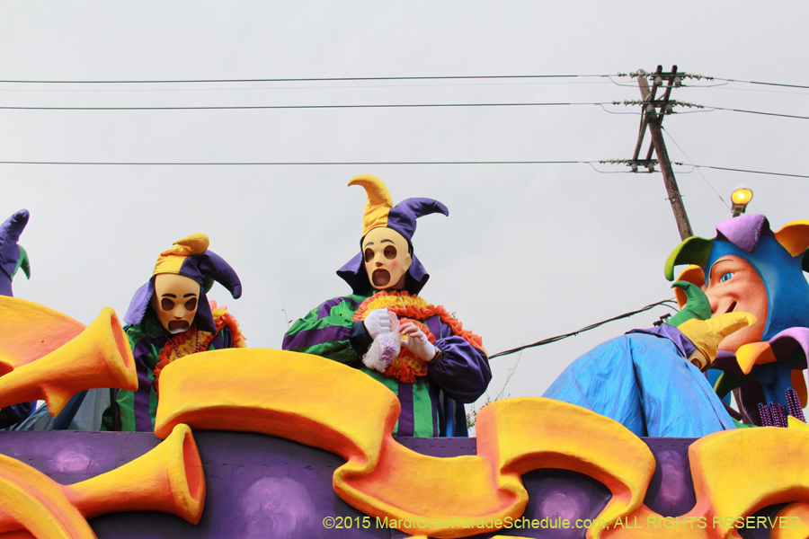 Rex-Organization-2015-19327