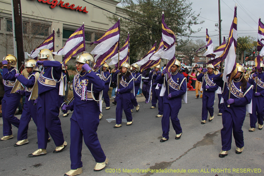 Rex-Organization-2015-19329