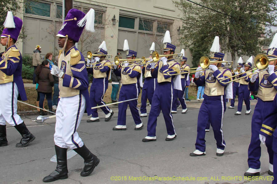 Rex-Organization-2015-19330