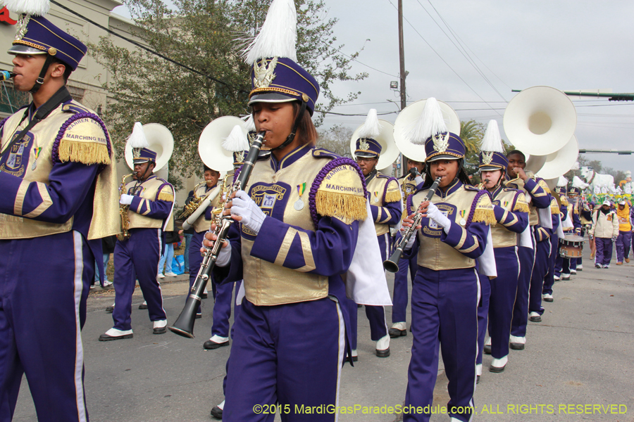 Rex-Organization-2015-19331