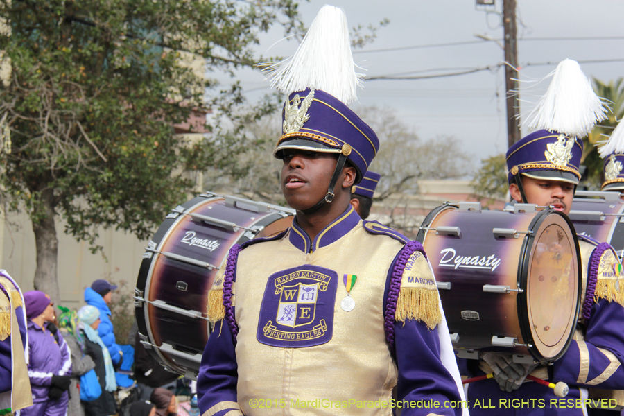 Rex-Organization-2015-19336