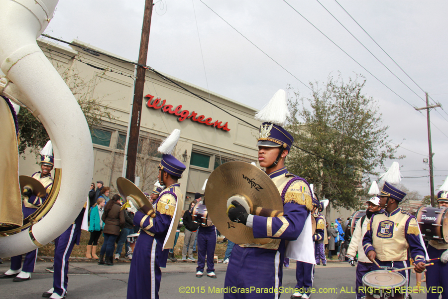 Rex-Organization-2015-19337