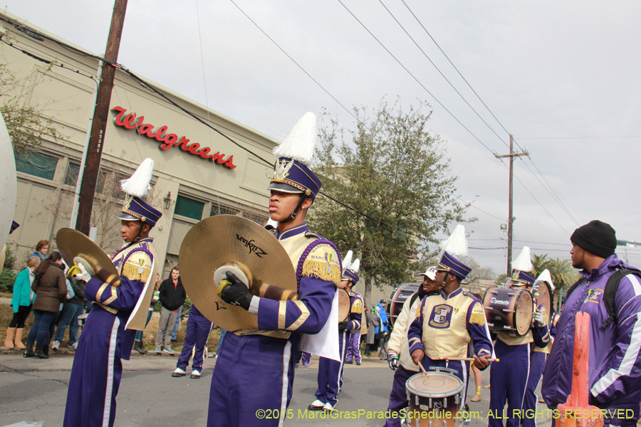 Rex-Organization-2015-19338