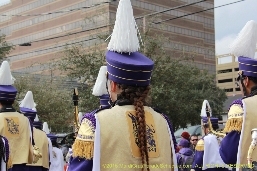 Rex-Organization-2015-19339