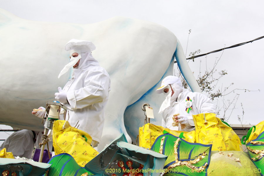 Rex-Organization-2015-19344