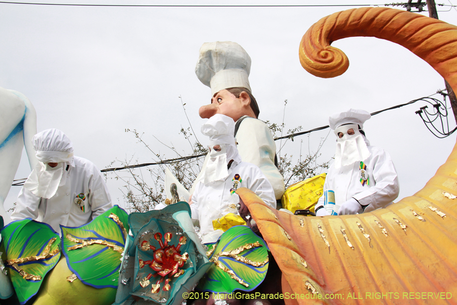 Rex-Organization-2015-19345